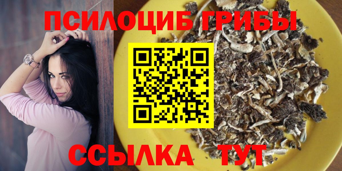 Галлюциногенные грибы Cubensis Зеленогорск