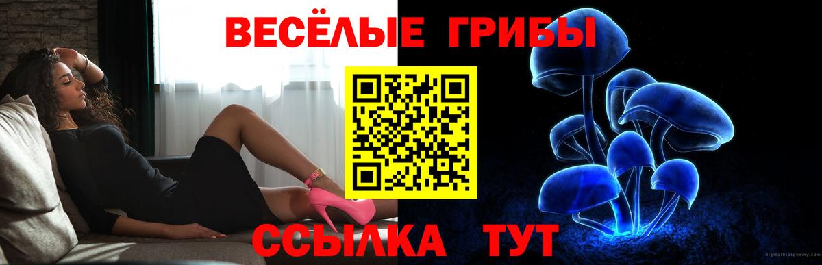 Зеленогорск  где купить наркоту  Вход с VPN  Галлюциногенные грибы прущие грибы 